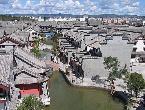 拯救蓝色小鸟